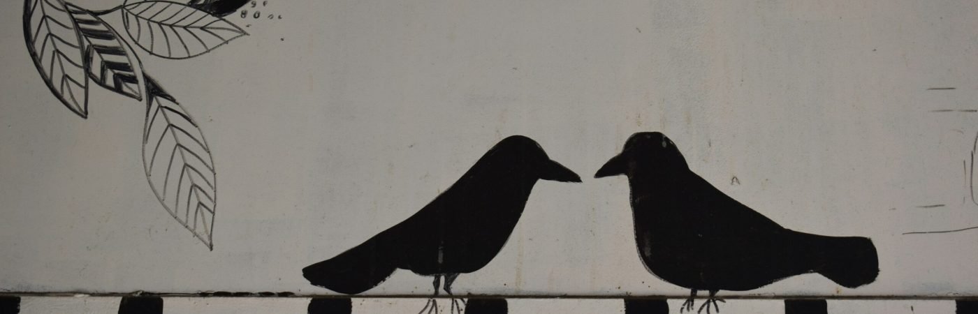 marija-zaric-is1IP1xR2uw-unsplash